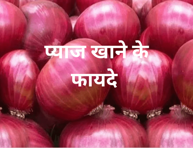 प्याज खाने के फायदे - 9 Raw Onion Benefits For Health