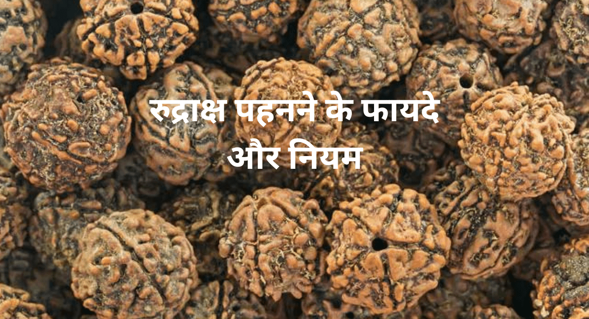 रुद्राक्ष पहनने के फायदे और नियम - Benefits and Rules of Wearing Rudraksha 1 रुद्राक्ष पहनने के फायदे और नियम - Benefits and Rules of Wearing Rudraksha
