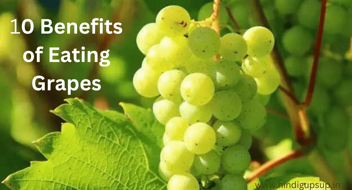 अंगूर खाने के 10 फायदे - 10 Benefits of Eating Grapes
