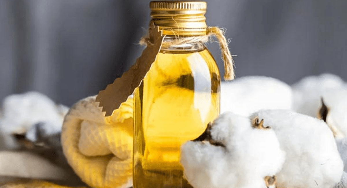 कपासिया तेल खाने के फायदे - 6 Benefits of Cotton seed Oil 