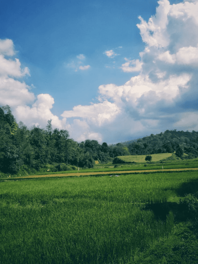 भारत के सबसे सुन्दर हिल स्टेशन – Best Hill Station in India