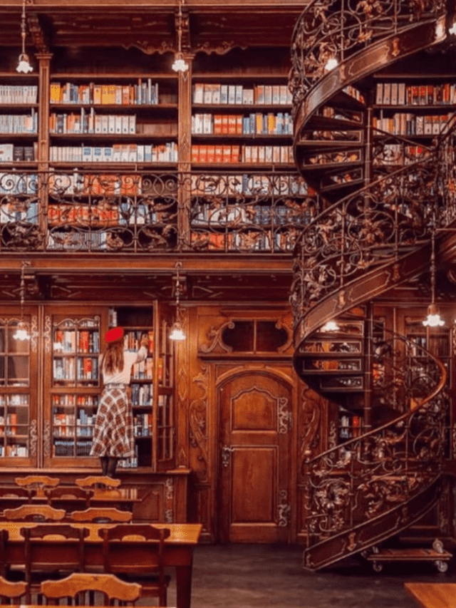 दुनिया की सबसे खूबसूरत लाइब्रेरी – Most Beautifull Library in the World