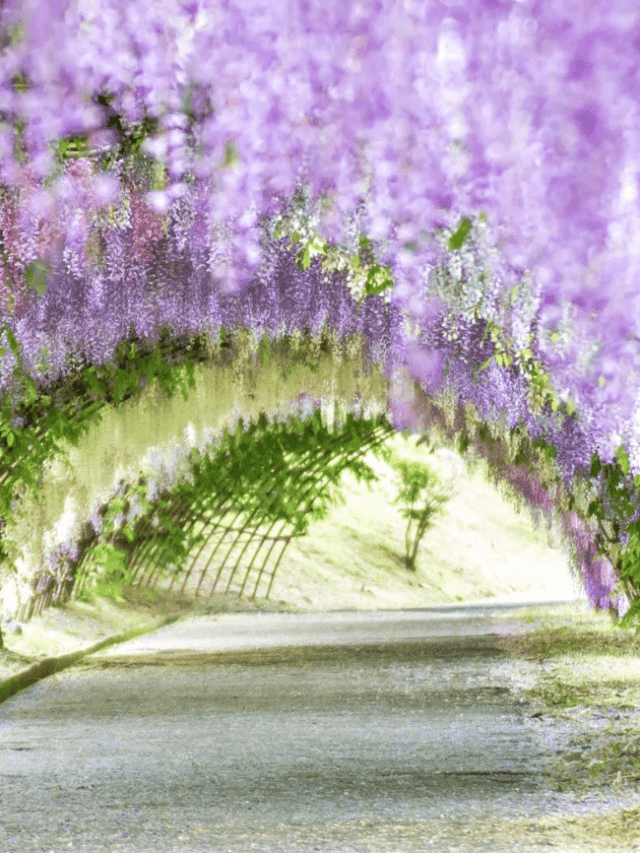 मई में घूमने के लिए भारत की जगह – Indian Places to Visit in May