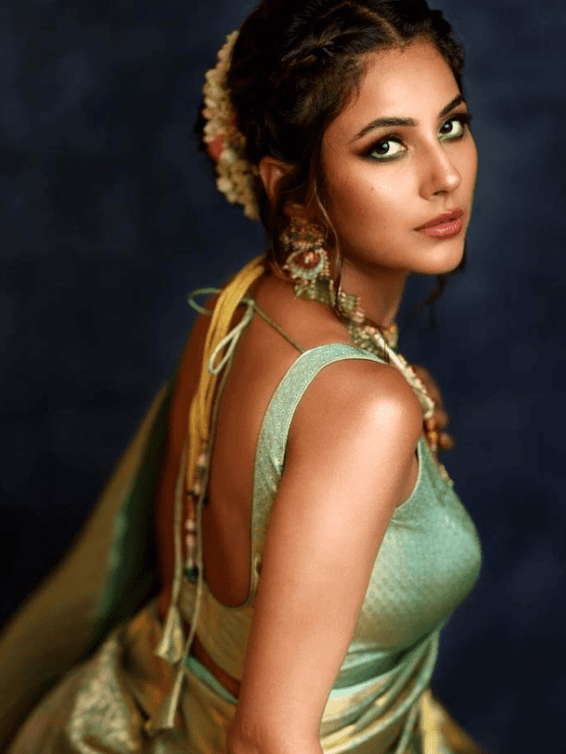 शहनाज़ गिल के ब्लाउज डिज़ाइन – Blouse Design by Shehnaaz Gill