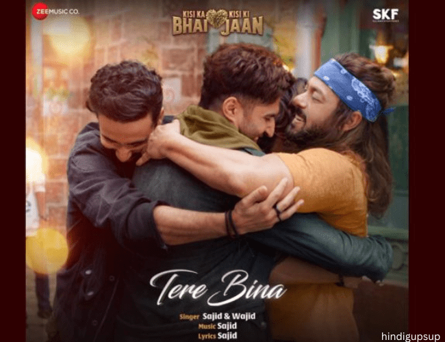 Read more about the article सलमान खान की फिल्म का नया गाना हुआ रिलीज – Tere Bina Song