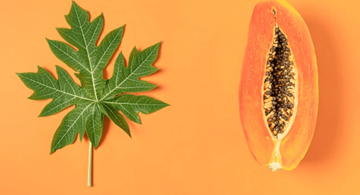 स्किन के लिए पपीता के फायदे - 5 Benefits of Papaya For Skin