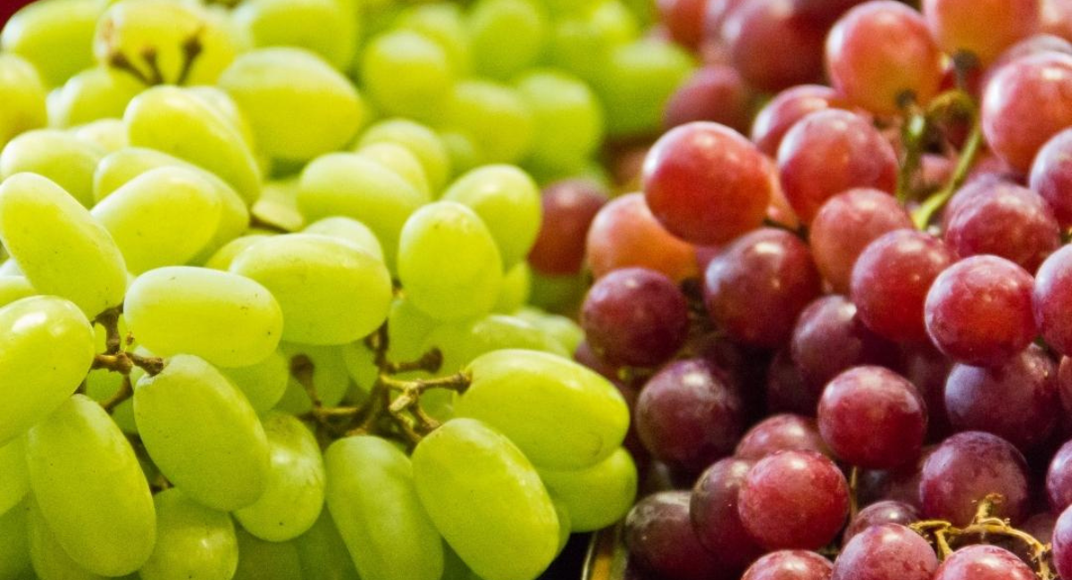 गर्मियों के फल और उनके लाभ - Benefits of Eating Fruits in Summer