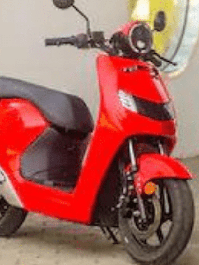 electric scooter (6)