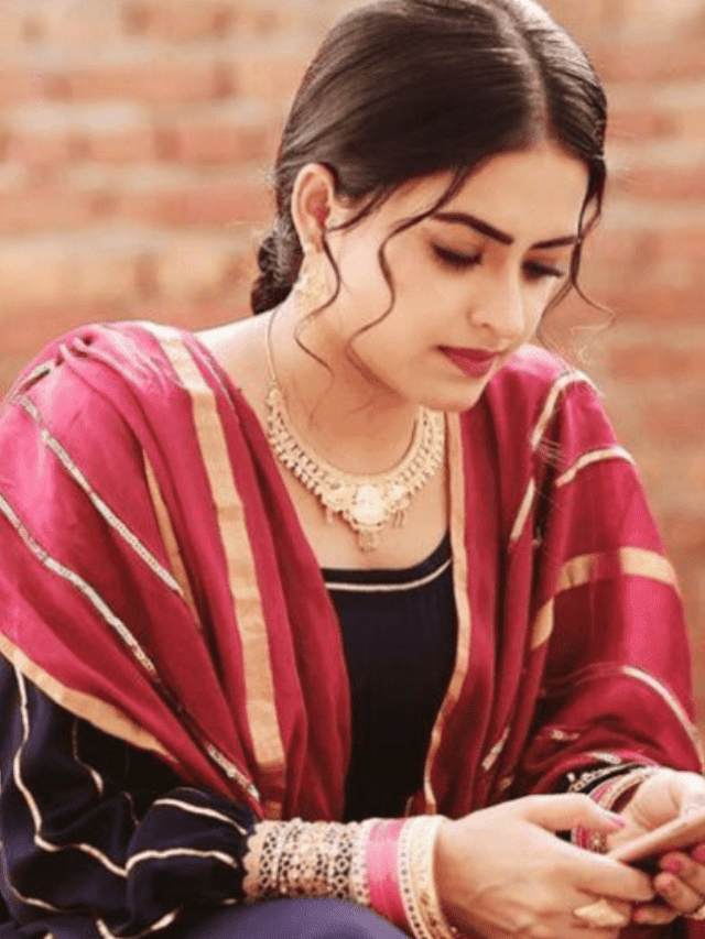 पंजाबी सूट डिज़ाइन – Punjabi Suit Design