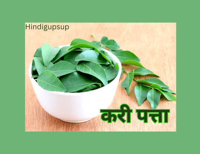 करी पत्ता खाने के फ़ायदे - 9 Benefits of Curry Leaves 2 करी पत्ता खाने के फ़ायदे - 9 Benefits of Curry Leaves