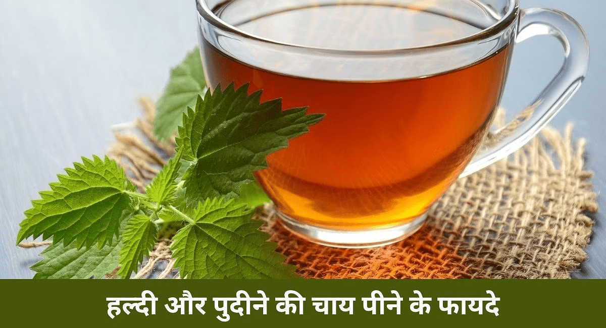 वजन और पेट की चर्बी को कम करने के 5 हर्बल चाय - Benefits of 5 Herbal Teas to Reduce Belly Fat