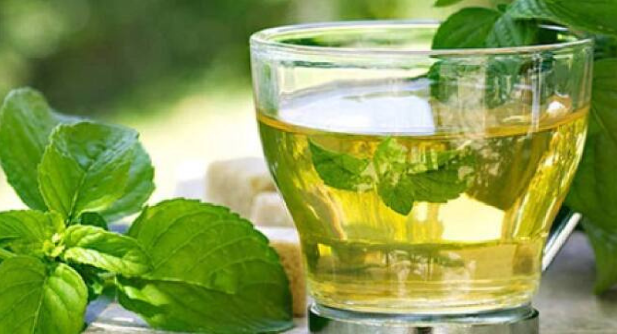 वजन और पेट की चर्बी को कम करने के 5 हर्बल चाय - Benefits of 5 Herbal Teas to Reduce Belly Fat 3 वजन और पेट की चर्बी को कम करने के 5 हर्बल चाय - Benefits of 5 Herbal Teas to Reduce Belly Fat