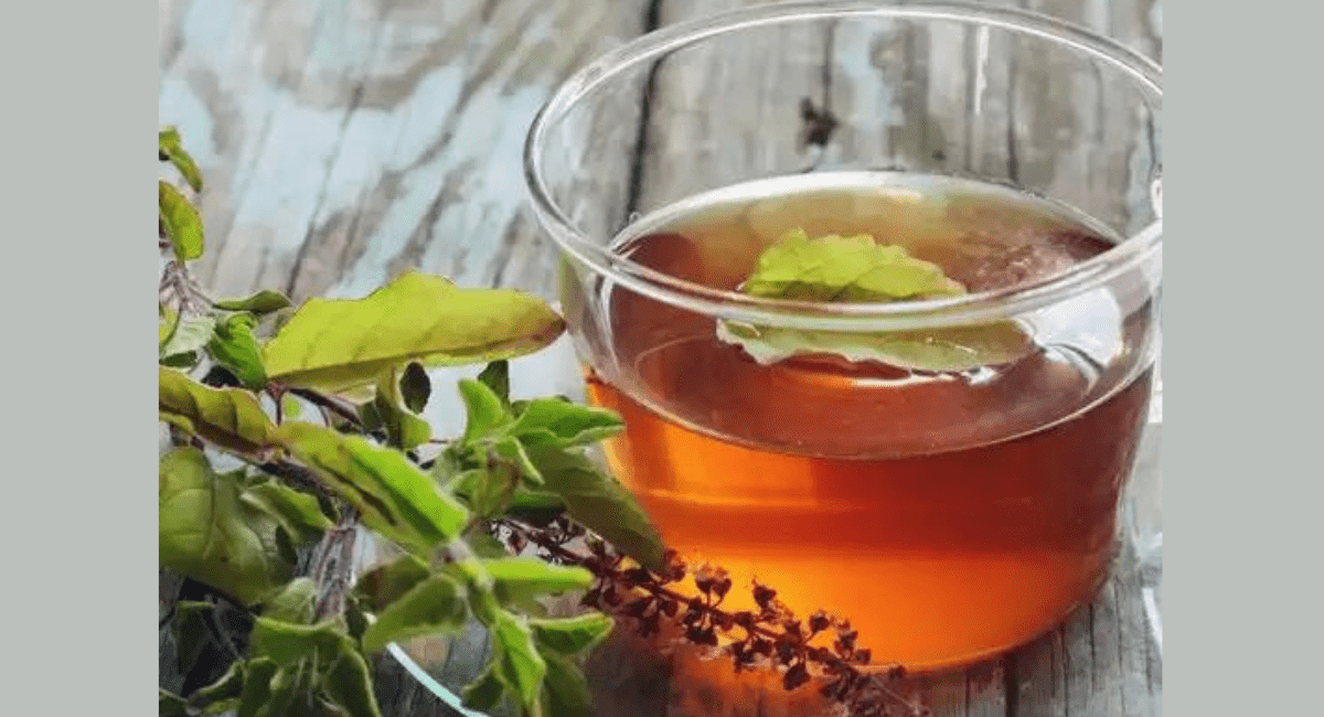 वजन और पेट की चर्बी को कम करने के 5 हर्बल चाय - Benefits of 5 Herbal Teas to Reduce Belly Fat 6 वजन और पेट की चर्बी को कम करने के 5 हर्बल चाय - Benefits of 5 Herbal Teas to Reduce Belly Fat