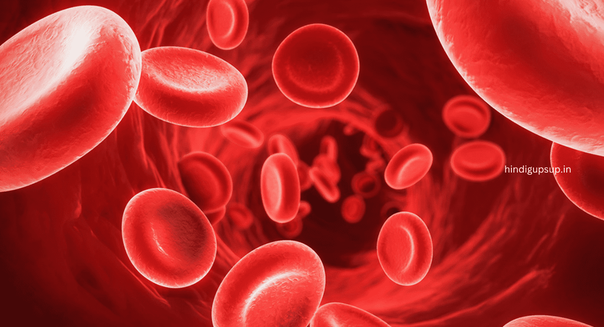 छुहारे के फायदे और नुकसान - Advantages and Disadvantages of Date Palm 2 छुहारे के फायदे और नुकसान - Advantages and Disadvantages of Date Palm