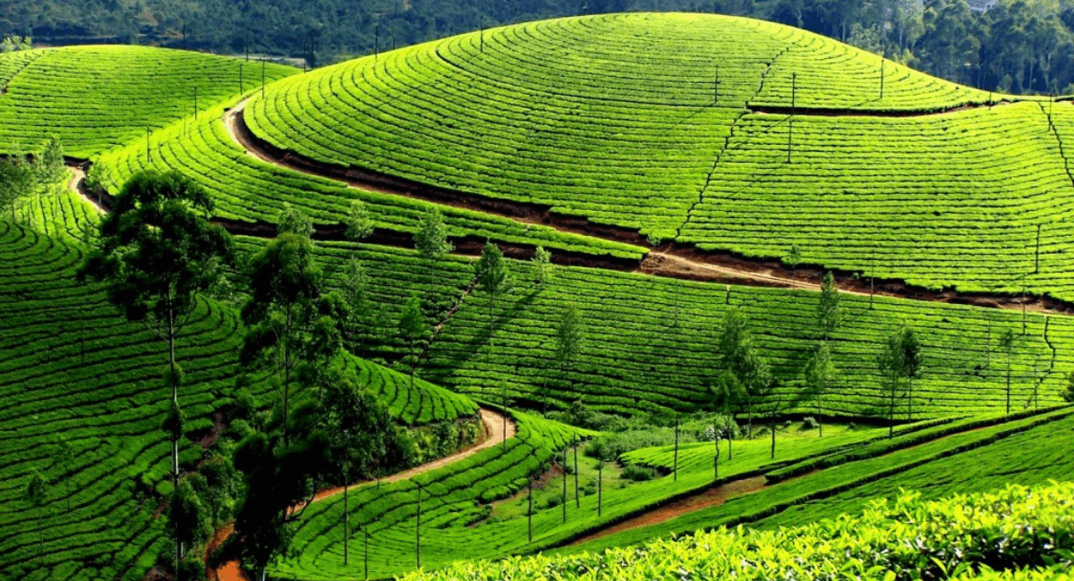 मानसून में केरल की यह जगह आपका मन मोह लेंगी - Which is the Best Place to Visit in Kerala
