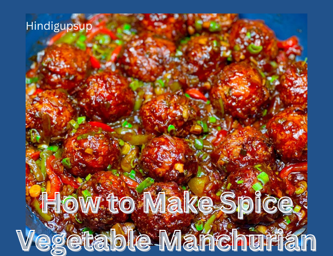 You are currently viewing घर पर वेजिटेबल मंचूरियन कैसे बनाएं – How to Make Vegetable Manchurian