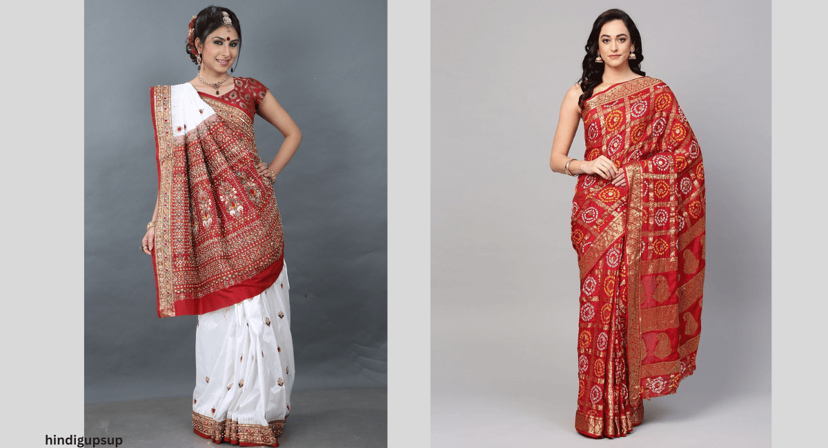 त्यौहार और शादियों के लिए अलग अलग तरह की डिज़ाइनर साडी - 6 Different Types Of Saree Design
