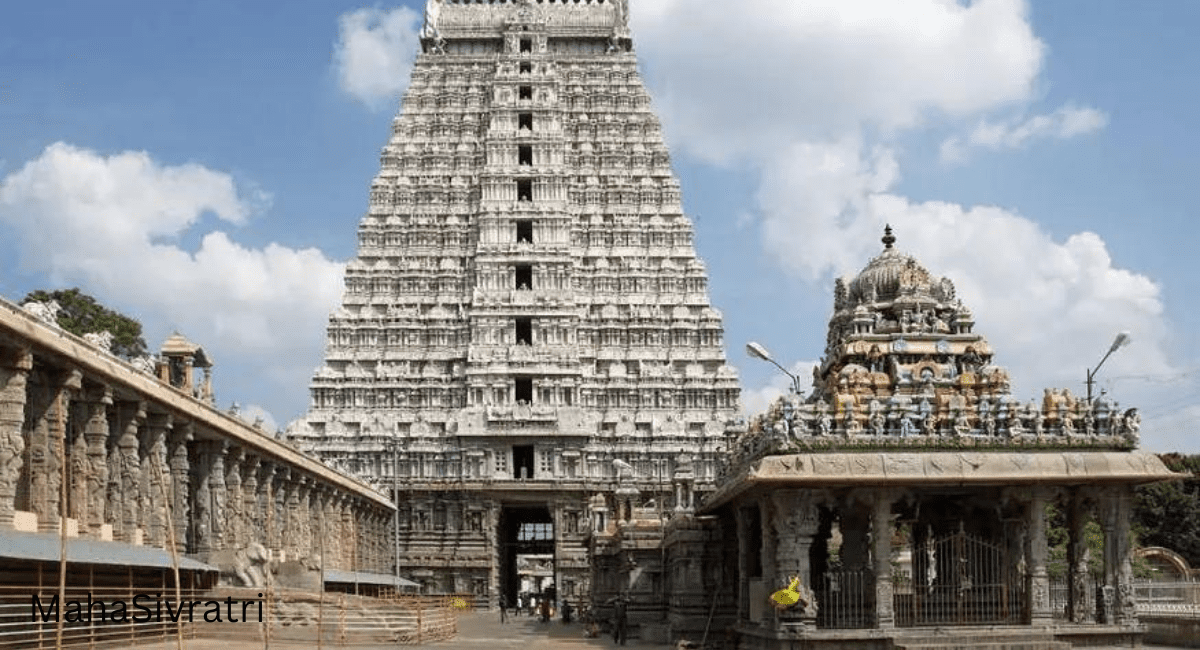 2023: महाशिवरात्री की मंगल आरती और पूजा का सही मुहूर्त - 2023: The right time for Mangal Aarti and worship of Mahashivratri 4 2023: महाशिवरात्री की मंगल आरती और पूजा का सही मुहूर्त - 2023: The right time for Mangal Aarti and worship of Mahashivratri