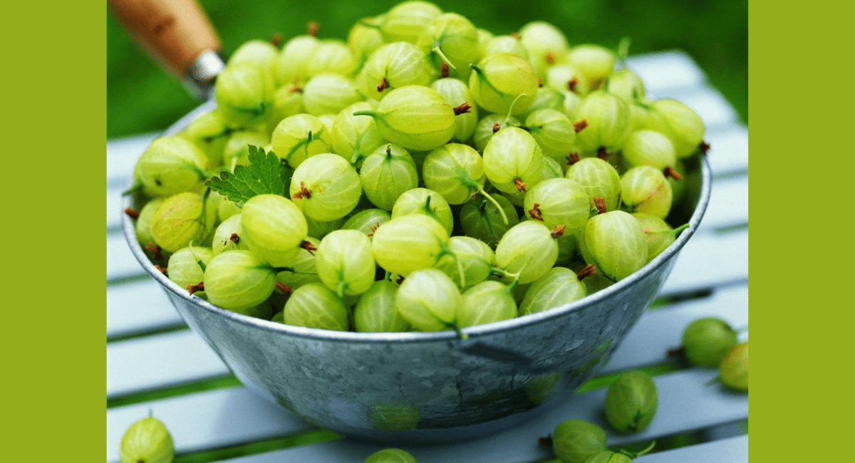 हरे फल खाने के फायदे - 5 Green Fruits Benefits