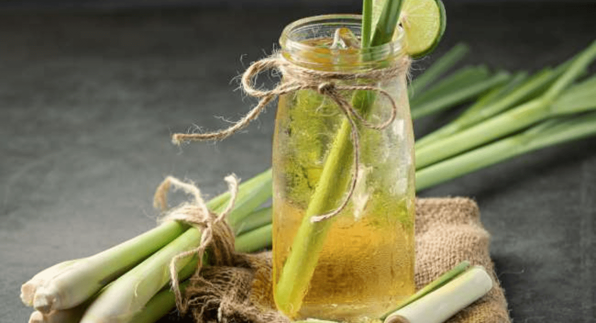 लेमनग्रास क्या है और उसके फायदे - What is Lemongrass and its Benefits.