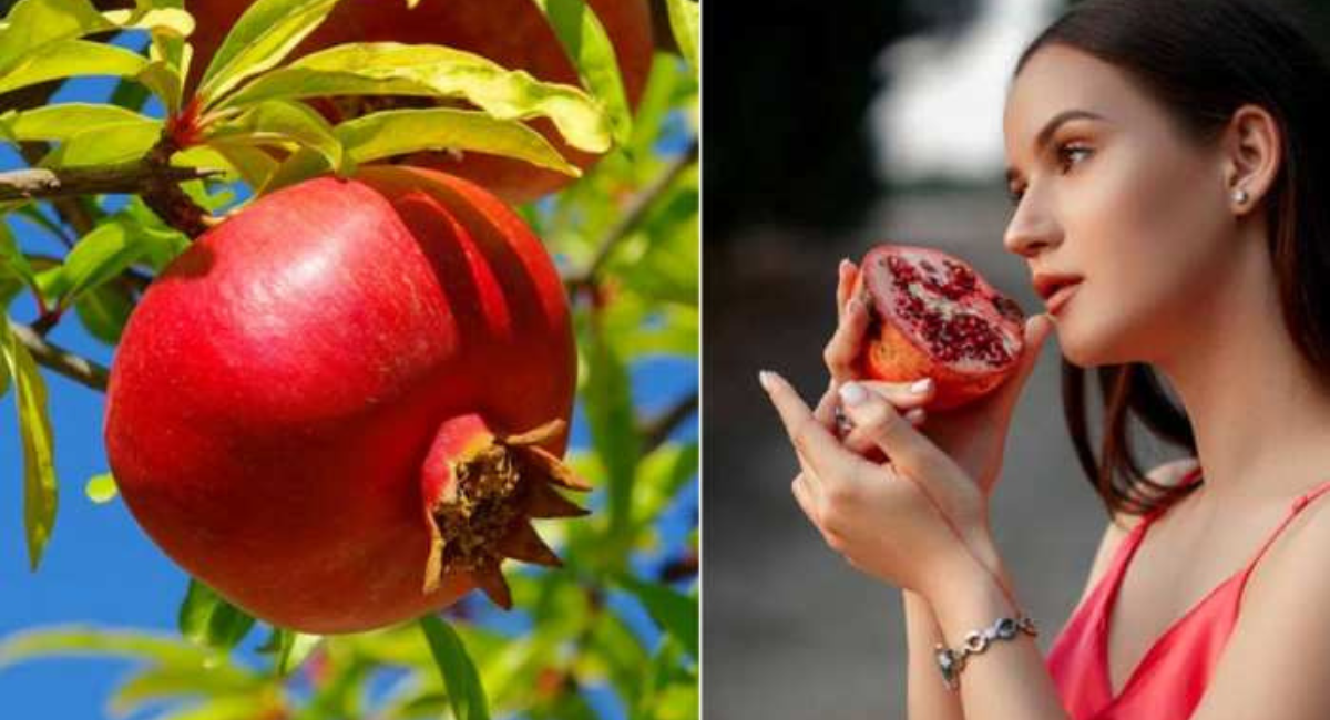 अनार खाने के फायदे - Pomegranate Benefits For Health