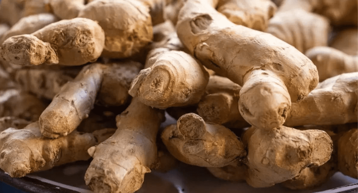 अदरक के फायदे - Uses and Benefits Of Ginger