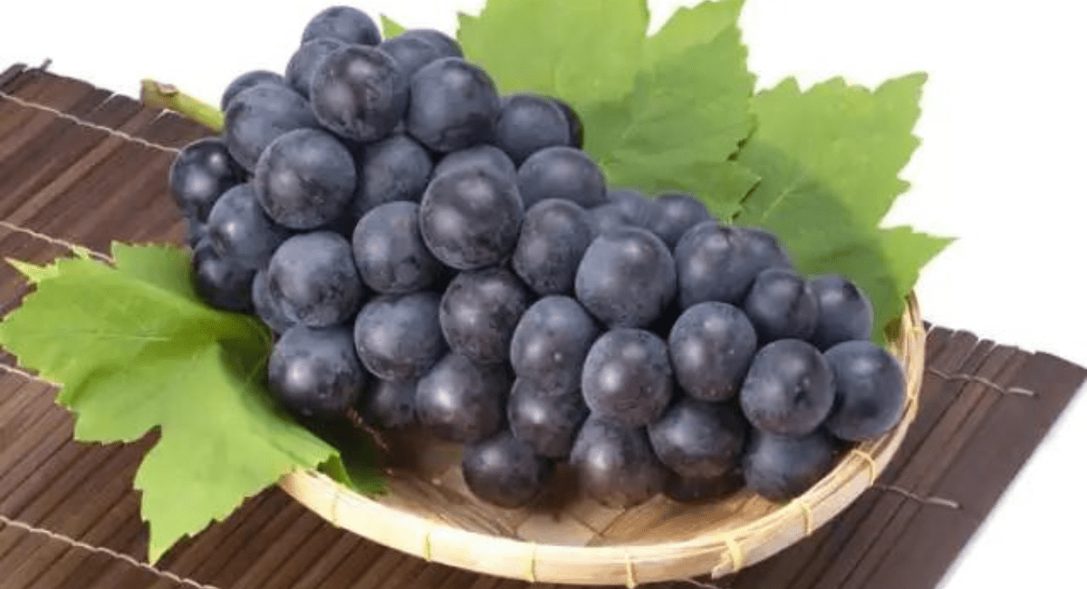 अंगूर खाने के 10 फायदे - 10 Benefits of Eating Grapes