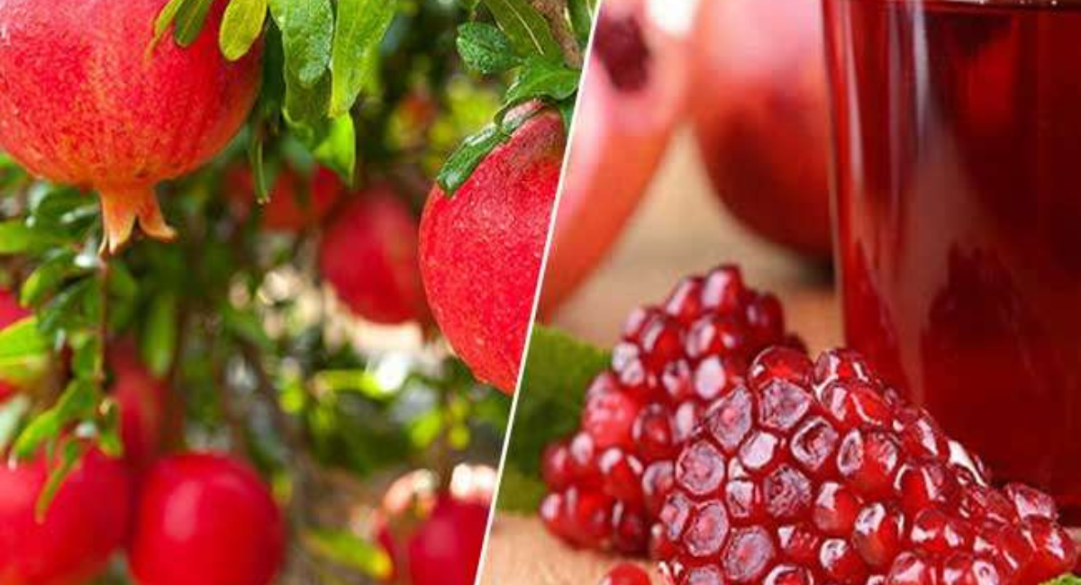 अनार खाने के फायदे - Pomegranate Benefits For Health