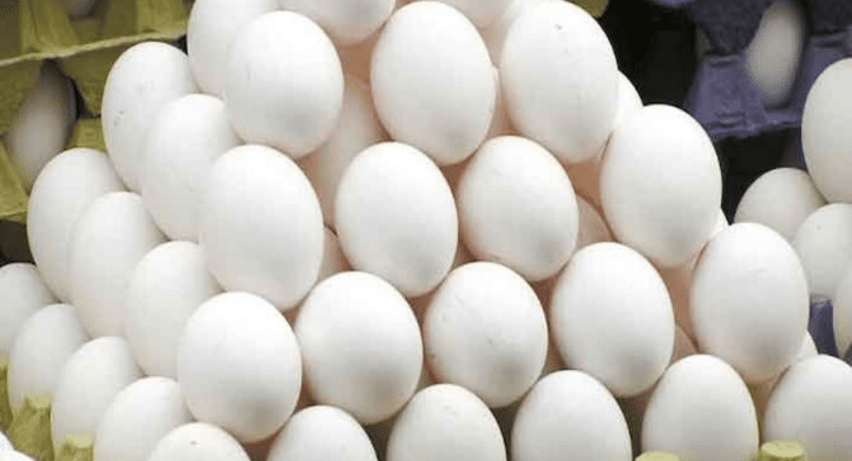 अंडा खाने के फायदे और नुकसान - Benefits and Side Effects of Egg