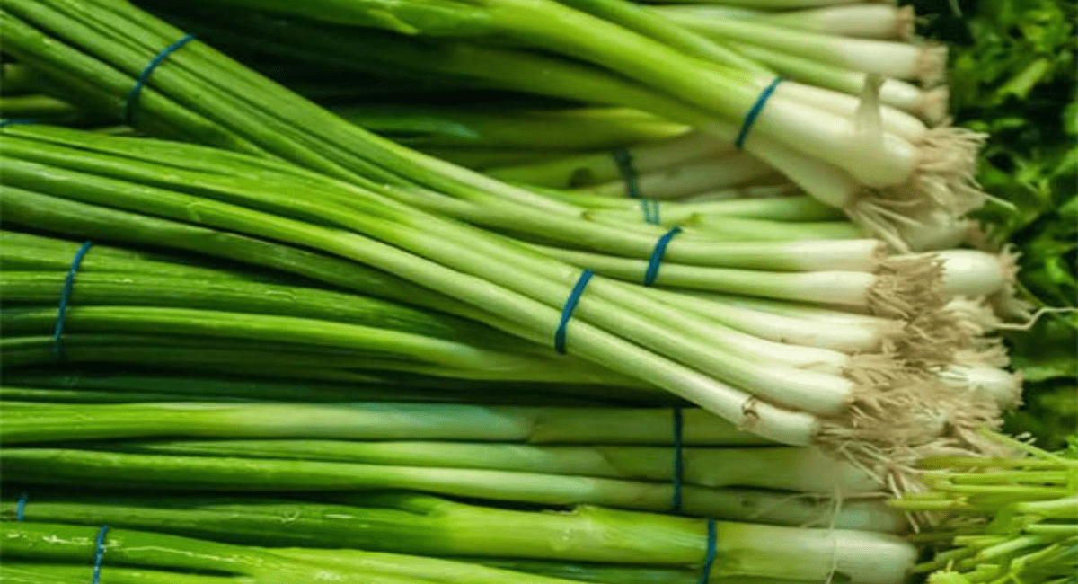 प्याज खाने के फायदे - 9 Raw Onion Benefits For Health