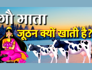 Read more about the article सीता जी ने गाय को श्राप क्यों दिया – Why Cursed the Cow