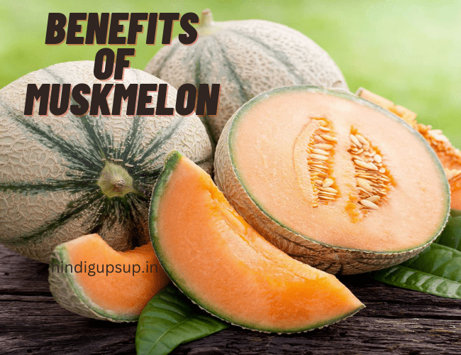 You are currently viewing खरबूजा खाने के फायदे – Benefits of Muskmelon for Health
