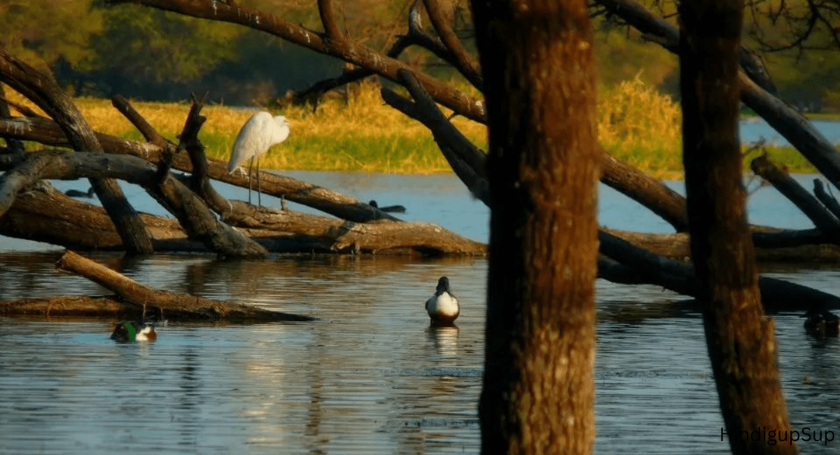 गुजरात के अच्छे जगह प्री वेडिंग शूटिंग के लिए - Good places in Gujarat for pre-wedding shooting