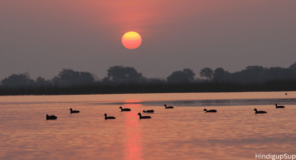 गुजरात के अच्छे जगह प्री वेडिंग शूटिंग के लिए - Good places in Gujarat for pre-wedding shooting