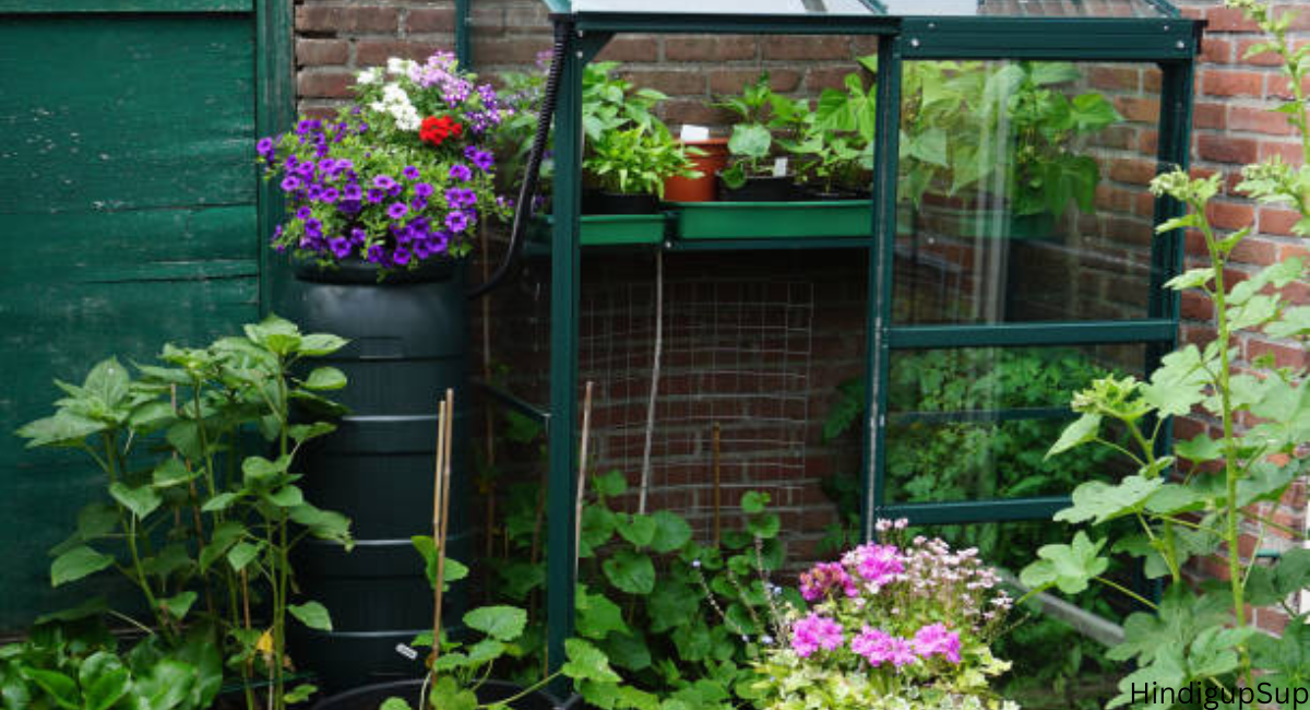 छोटे से गार्डन को कैसे बनाये खूबसूरत - How to Decorate Small Garden 