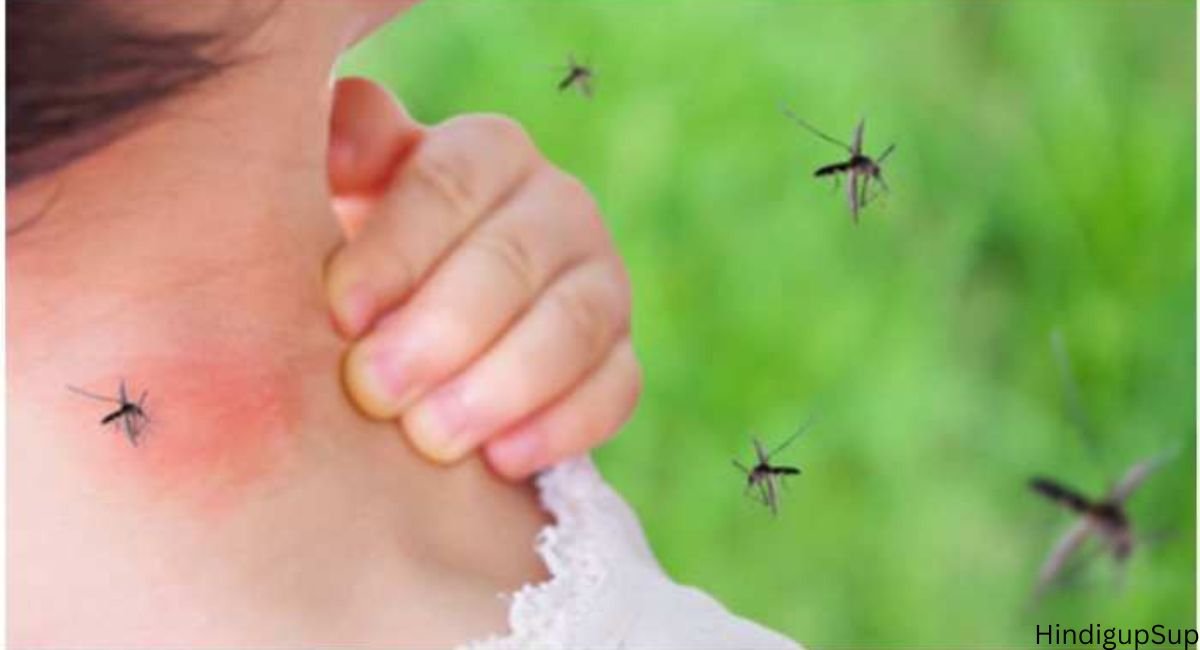 You are currently viewing क्यों मच्छर कुछ लोगो को ज़्यदा काटते हैं – What kind of blood do mosquitoes bite people more?