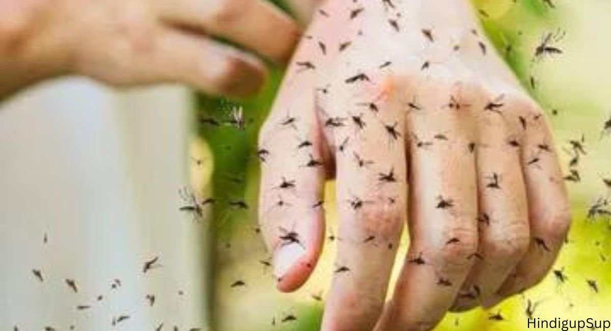 क्यों मच्छर कुछ लोगो को ज़्यदा काटते हैं - What kind of blood do mosquitoes bite people more? 