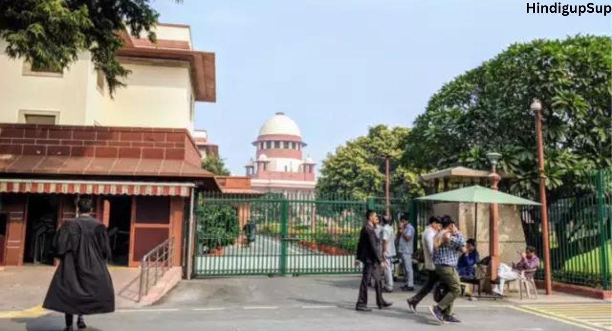 वकीलों का स्वर्ग - paradise of the lawyers