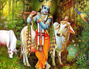 Read more about the article गोपाष्टमी की पूजा विधि कथा और महत्व – Importance of Gopashtami