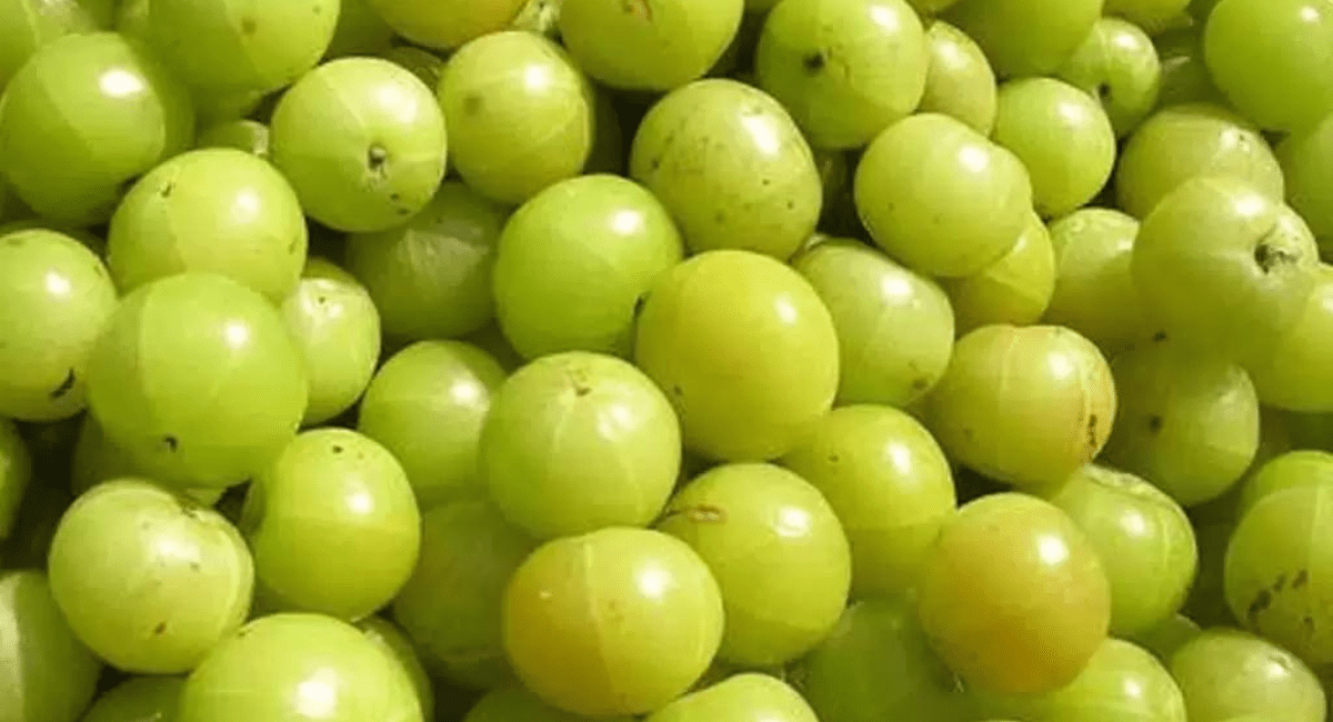 विटामिन-c की कमी को दूर करने के 8 उपाय - Health Benefits of Vitamin-C 4 विटामिन-c की कमी को दूर करने के उपाय - Health Benefits of Vitamin-C