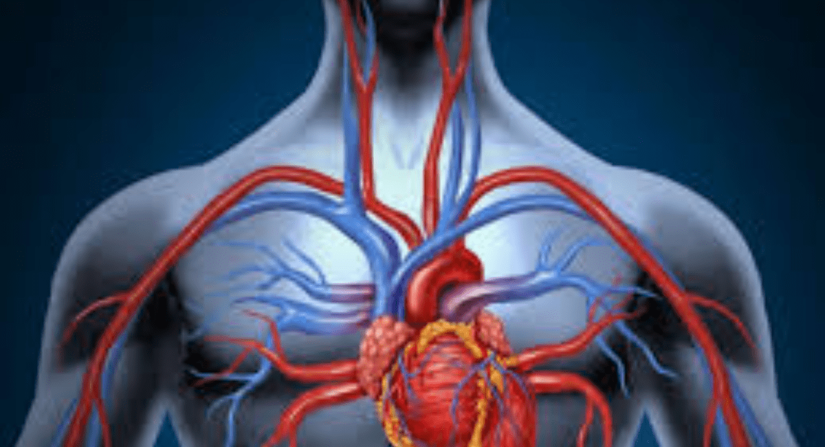 पायलट प्रोजेक्ट के जरिए थ्रोबोलिसिस करा सकेंगे मरीज - Patients will be Thrombolysis Through Pilot Project