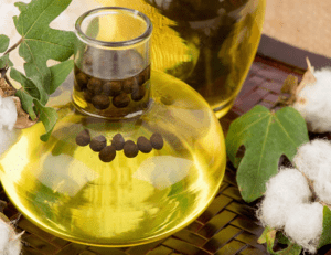 Read more about the article कपासिया तेल खाने के फायदे – 6 Benefits of Cotton seed Oil