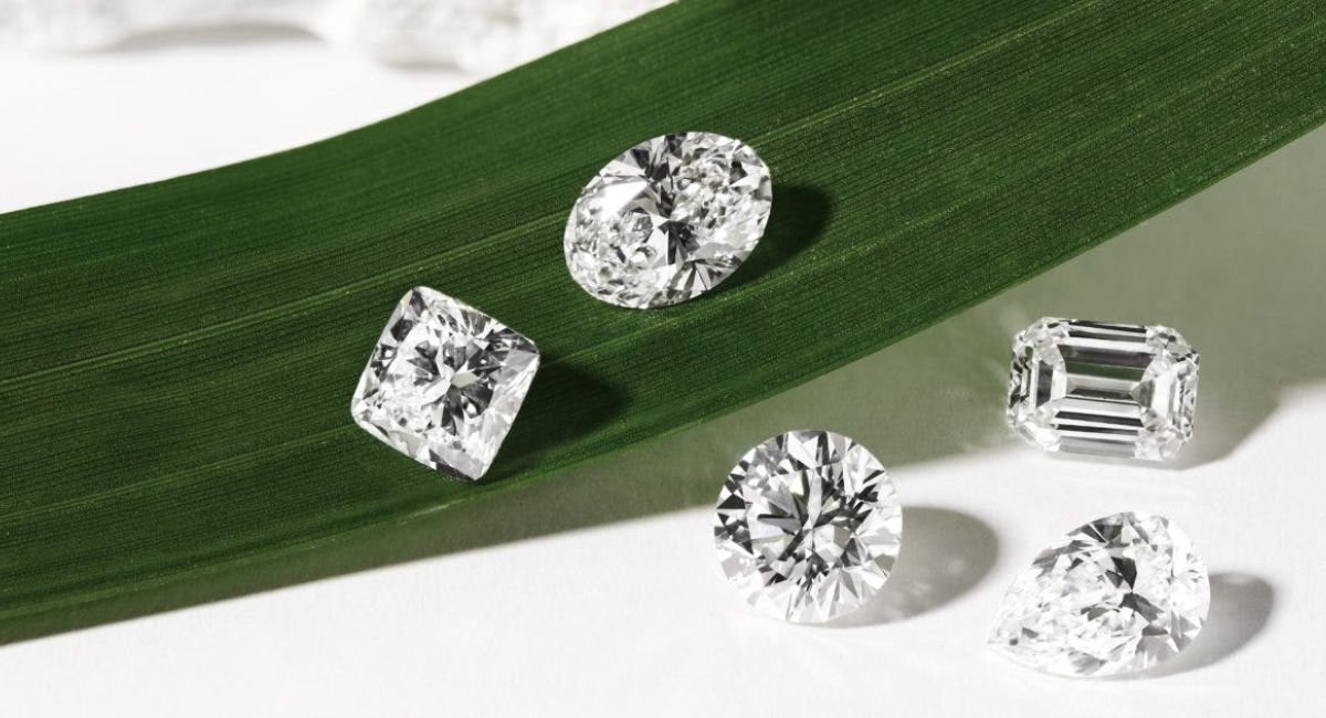 क्या है LGD  , जानिए LGD  का महत्व : Full form of LGD , What is LGD , Importance of LGD .