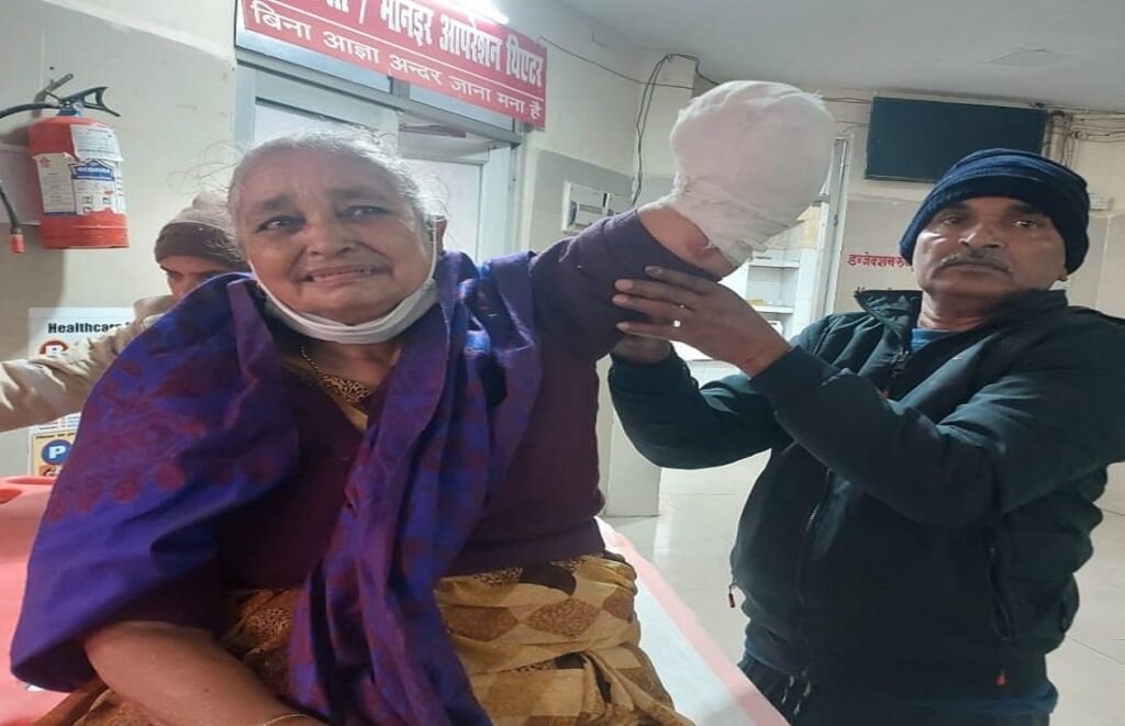 WhatsApp Image 2023 01 03 at 11.01.10 AM