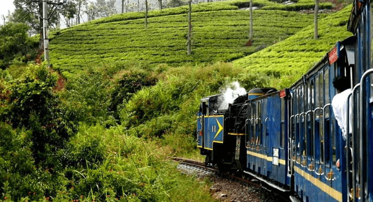 ऊटी में घूमने योग्य जगह - 7 Places to Visit in Ooty