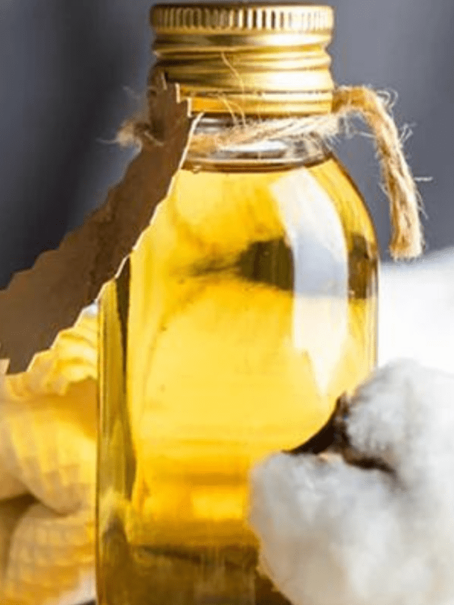 कपासिया तेल के फायदे – 6 Benefits of Cotton Seed Oil