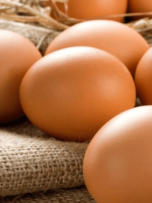 प्रोटीन की कमी को दूर करने के उपाय – Ways to Overcome Protein Deficiency