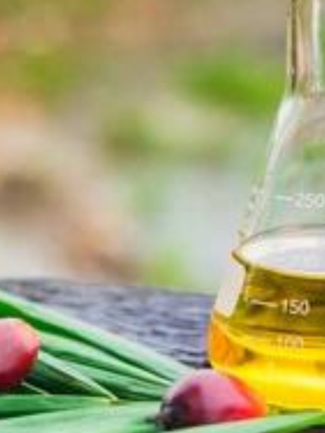 ताड़ के तेल के फायदे – Benefits of Palm Oil