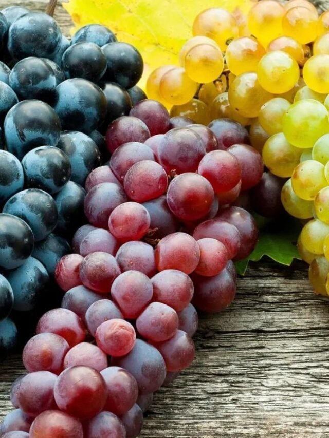 Untitled design - 2023-02-23T141022.809