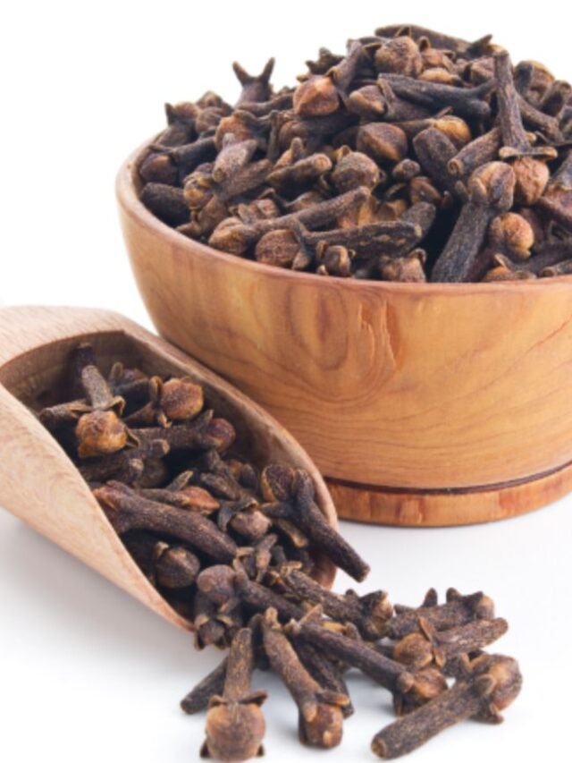 Untitled design - 2023-02-25T160907.772